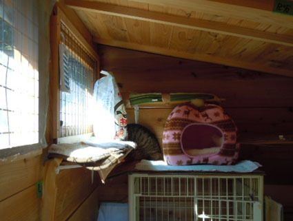 20120213home02.JPG