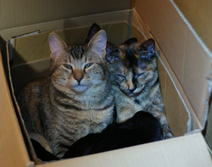 20120225home02.JPG