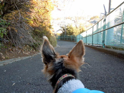 20120325home02.JPG