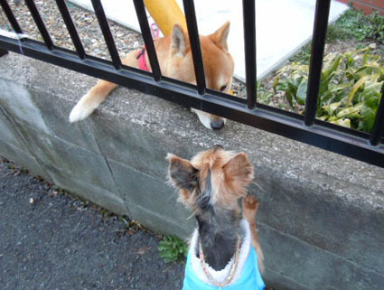 20120325home04.JPG