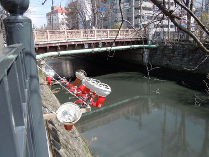 20120325home06.JPG