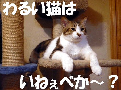 20120327home08.GIF