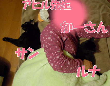 20120402home02.JPG