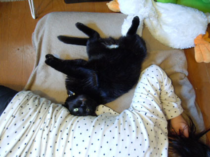20120407home01.jpg