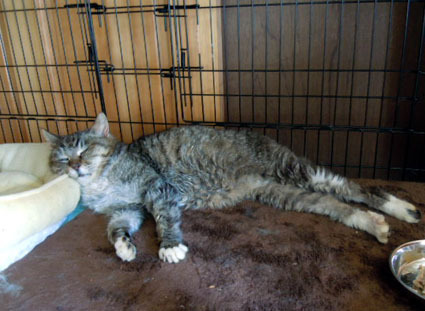 20120415home03.JPG