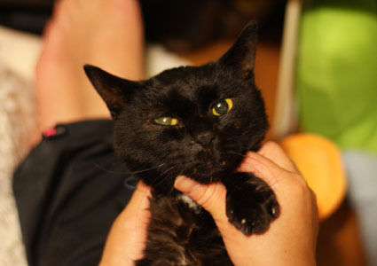 20120430home01_luna.JPG
