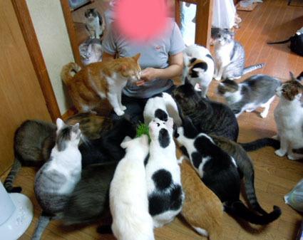 20120430home02_all.JPG