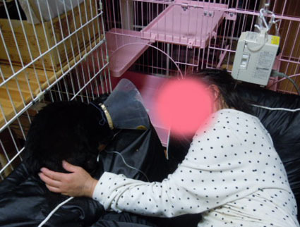 20120503home02_luna.JPG