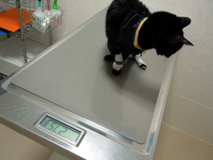 20120503hospital02_luna.JPG