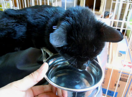20120505home02.JPG