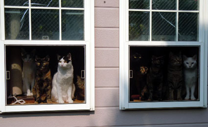 20120512home03.JPG