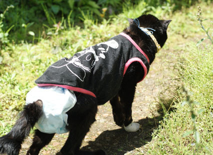20120513home02_luna.JPG