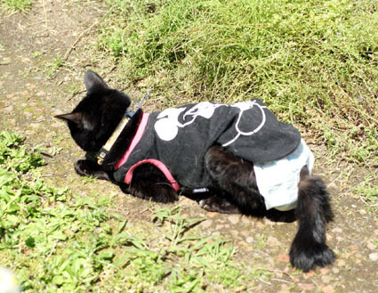 20120513home03_luna.JPG