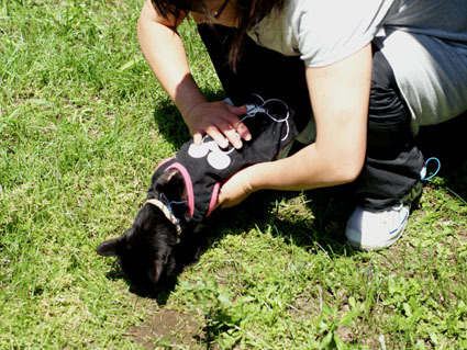 20120513home06_luna.JPG