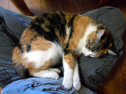 20120514home01_ai.JPG