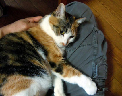 20120514home02_ai.JPG