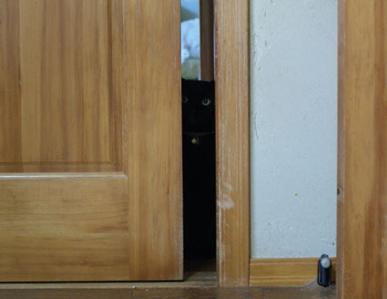 20120527home01_sun.JPG