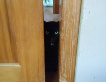 20120527home02_sun.JPG