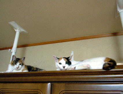 20120610home04.JPG