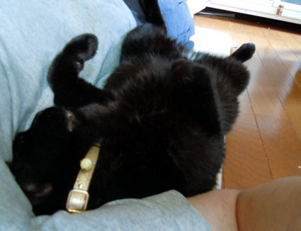 20120624home01_sun.JPG