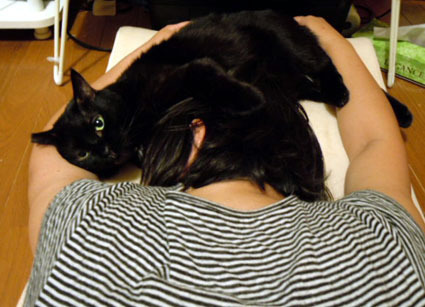 20120624home02_sun.JPG