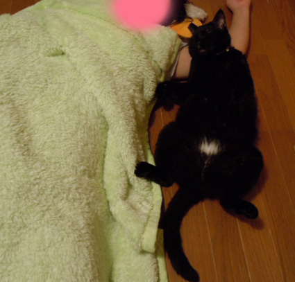 20120712home02_sun.JPG
