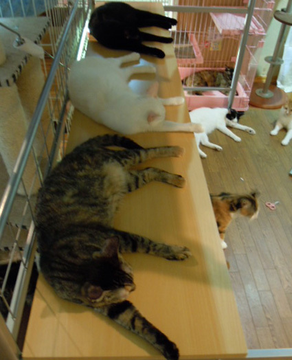 20120727home01.JPG