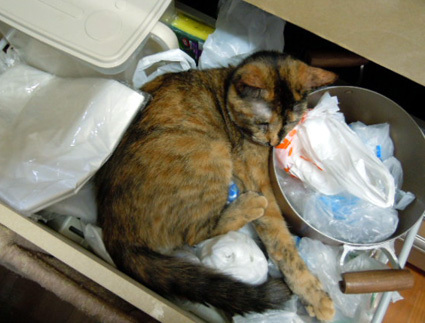 20120729home04.JPG