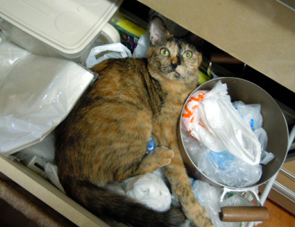 20120729home05.JPG