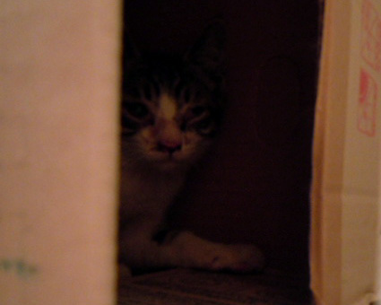 20120730home01.JPG