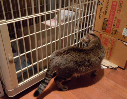 20120730home02.JPG