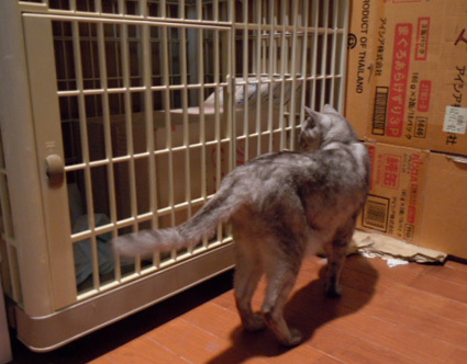 20120730home03.JPG