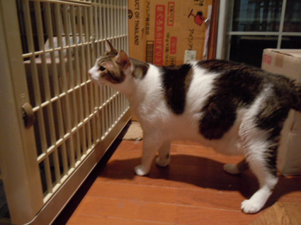 20120730home04.JPG