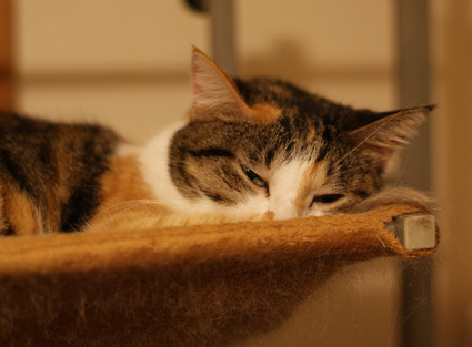 20120808home02.JPG