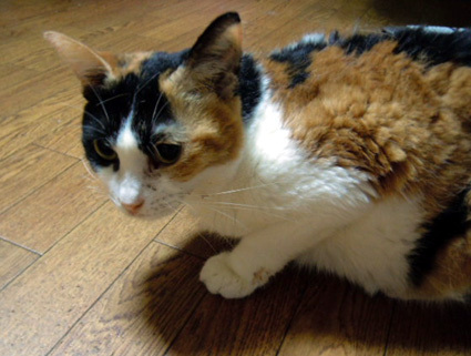 20120808home04.JPG