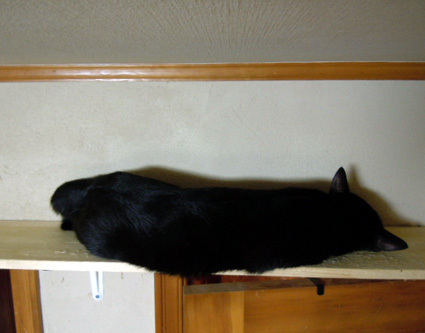 20120808home06.JPG