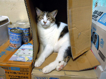 20120808home08.JPG