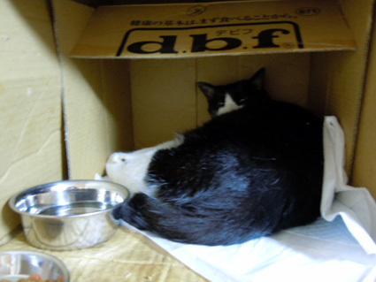 20120808home09.JPG