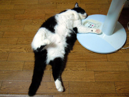 20120808home10.JPG