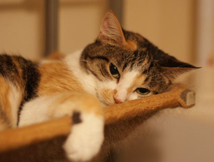 20120809home03.JPG
