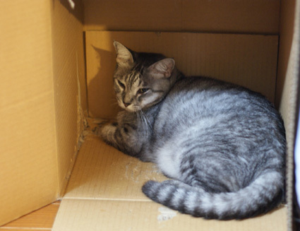 20120809home07.JPG