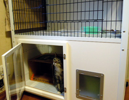20120811home06.JPG