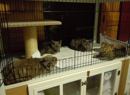 20120818home02.JPG