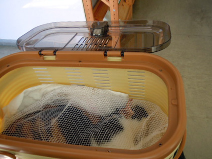 20120825hospital01_chyoko.JPG