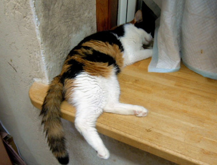 20120825hospital02_chyoko.JPG