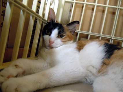 20120826home01.JPG