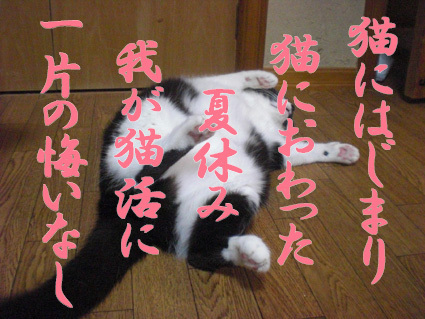 20120827home02.JPG