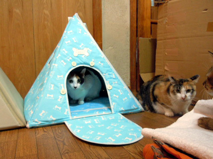 20120828home01.JPG