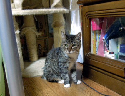 20120830home01.JPG