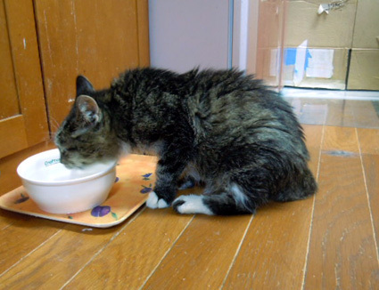 20120830home02.JPG